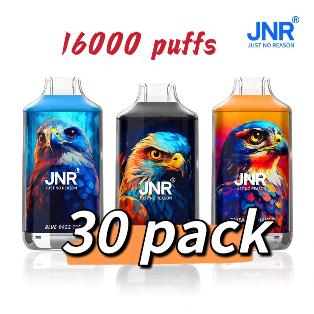 JNR Falcon 16000 Puffs 30 Packs (Ship from oversea) - Blackberry Red Raspberry