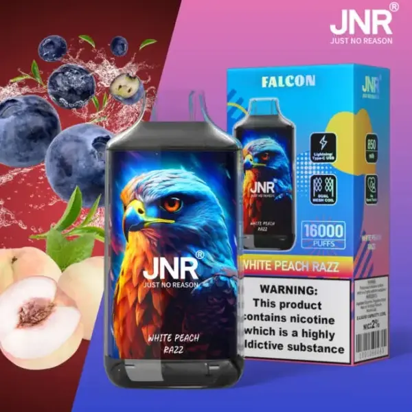 JNR Falcon 16000 Puffs 30 Packs (Ship from oversea) 2